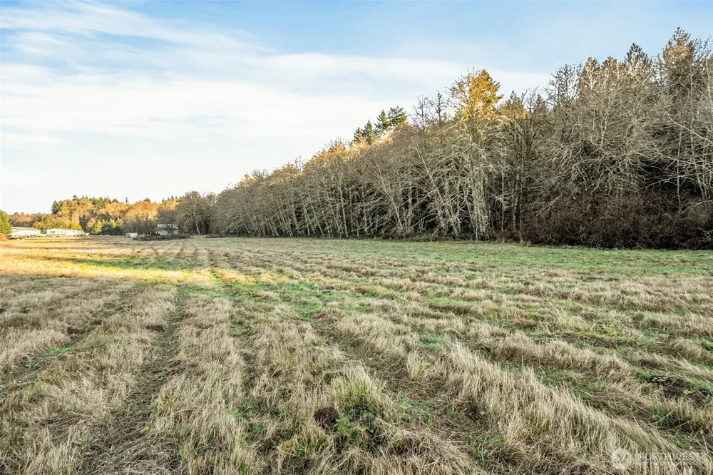0 Collins Road Toledo, WA 98591