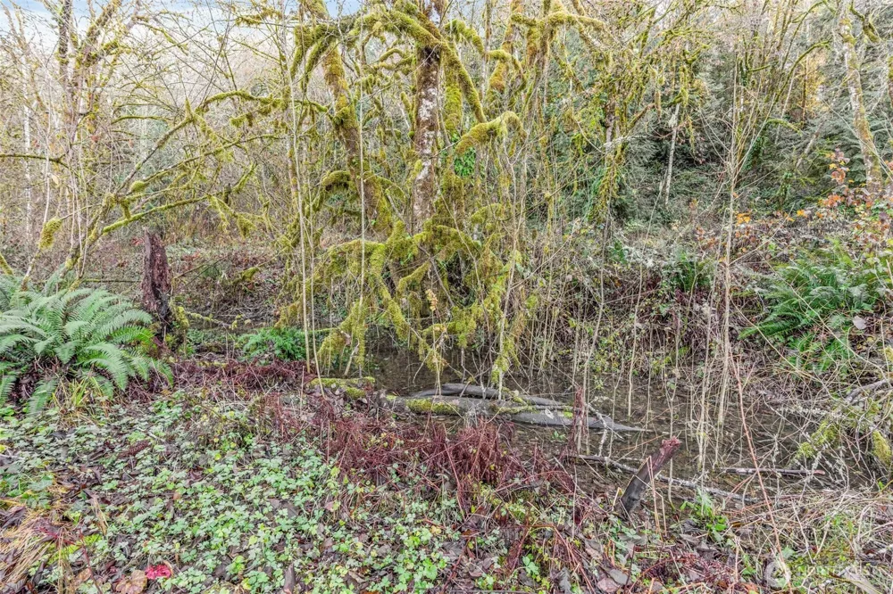 0 Collins Road Toledo, WA 98591