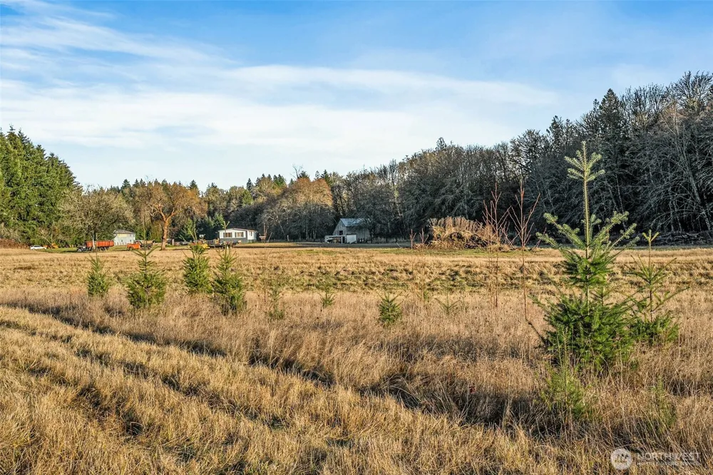 0 Collins Road Toledo, WA 98591