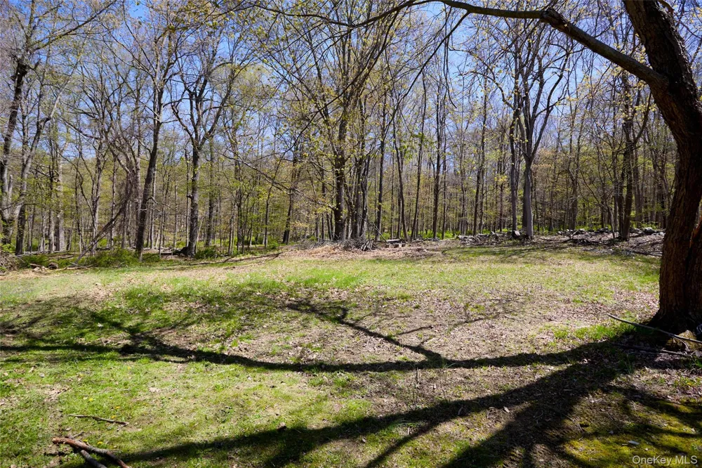 32 Cole Road Pleasant Valley, NY 12569