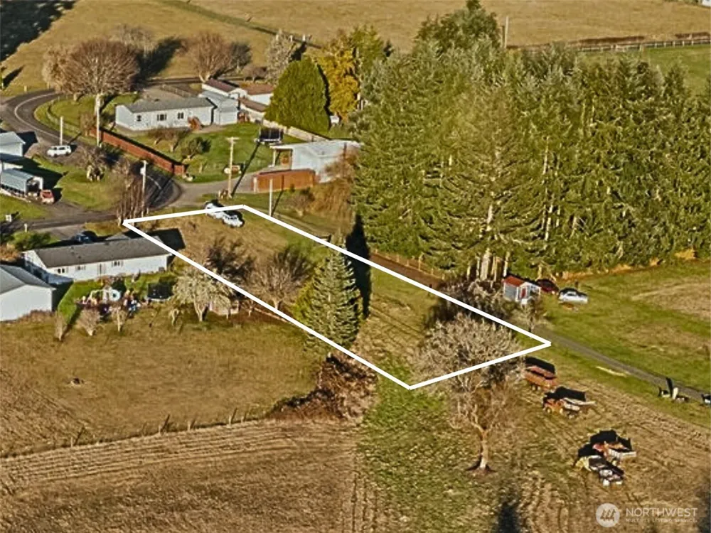 434 B Collins Road Toledo, WA 98591