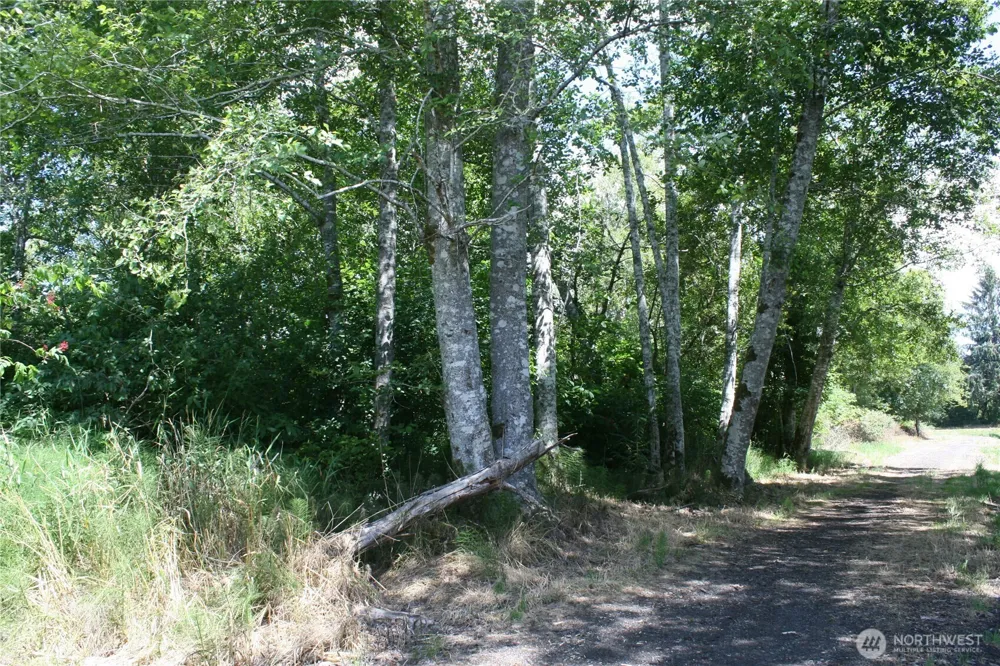 0 Farrell Street Aberdeen, WA 98520