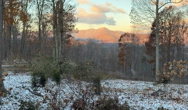 241 Alta Vista Drive Candler, NC 28715