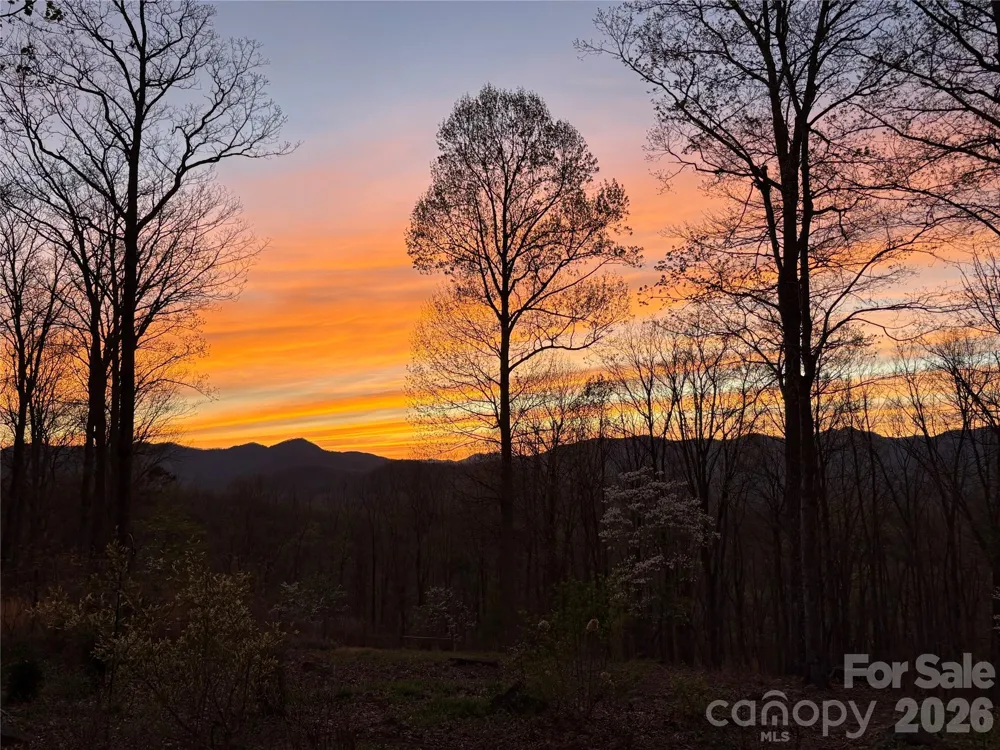 241 Alta Vista Drive Candler, NC 28715
