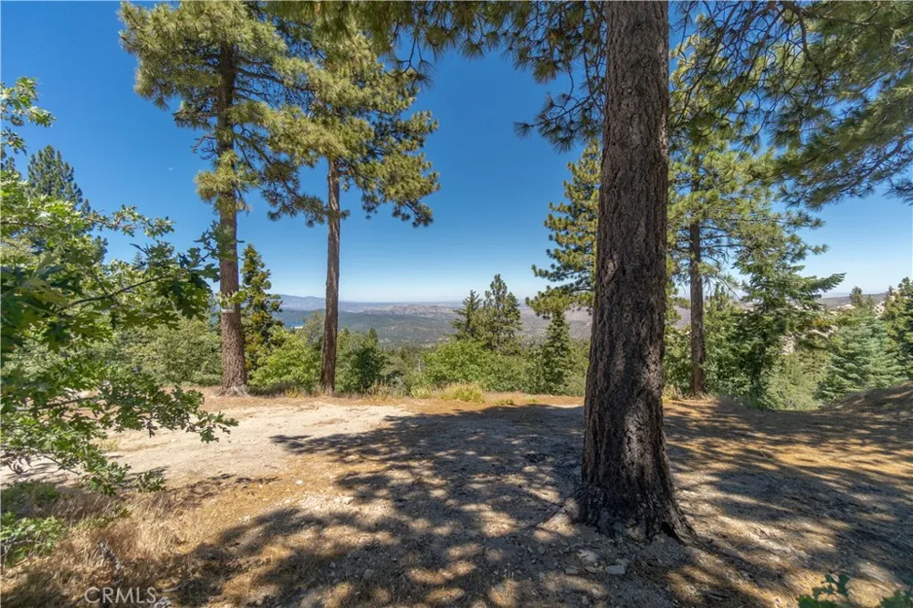 33163 Holcomb Creek Green Valley Lake, CA 92341