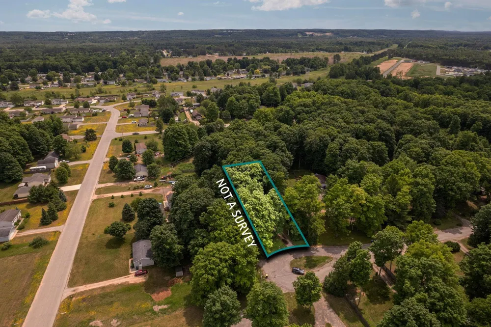 4519 E Mobile Trail Blair Township, MI 49685