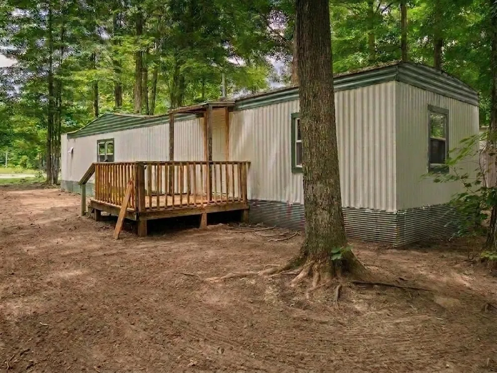 4519 E Mobile Trail Blair Township, MI 49685