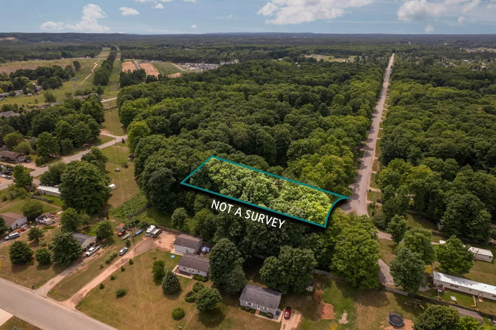 4519 E Mobile Trail Blair Township, MI 49685