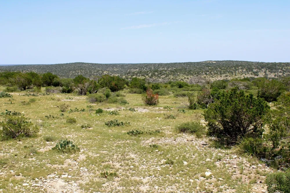 2519 Widmark Road Del Rio, TX 78837