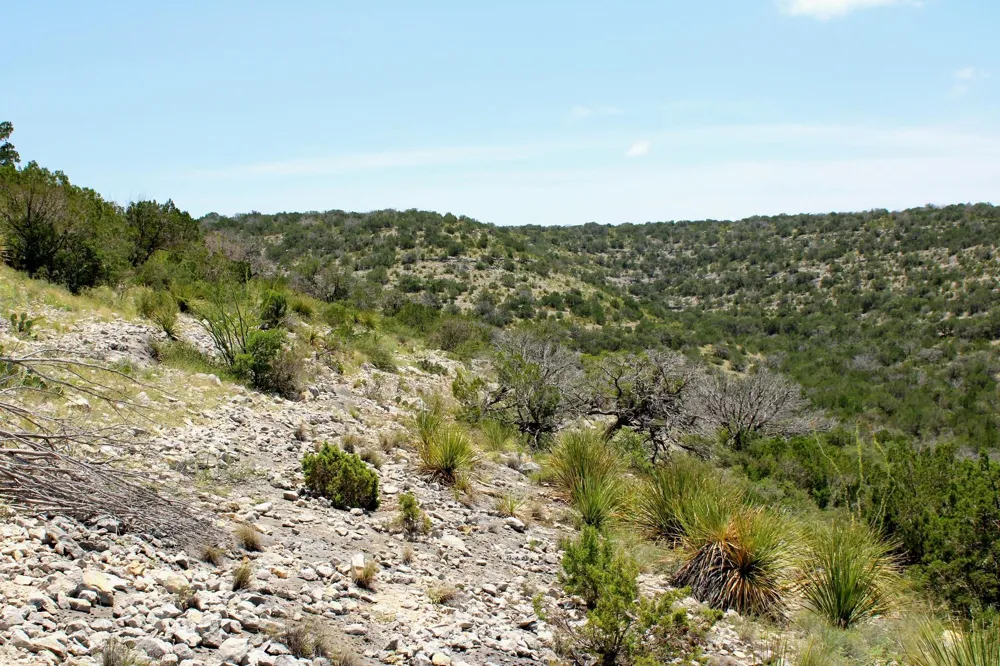 2519 Widmark Road Del Rio, TX 78837