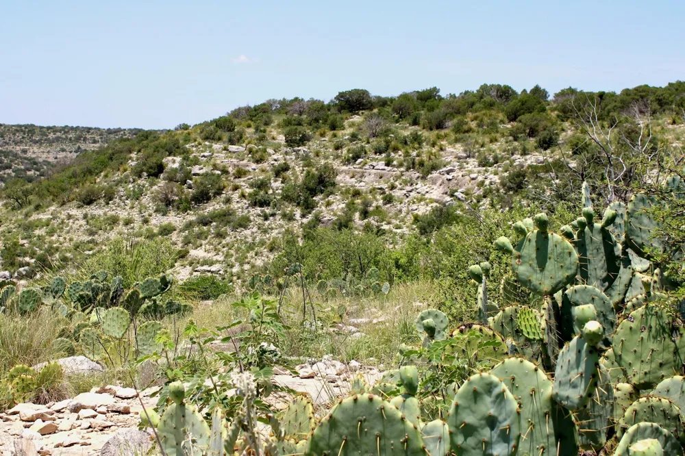 2519 Widmark Road Del Rio, TX 78837