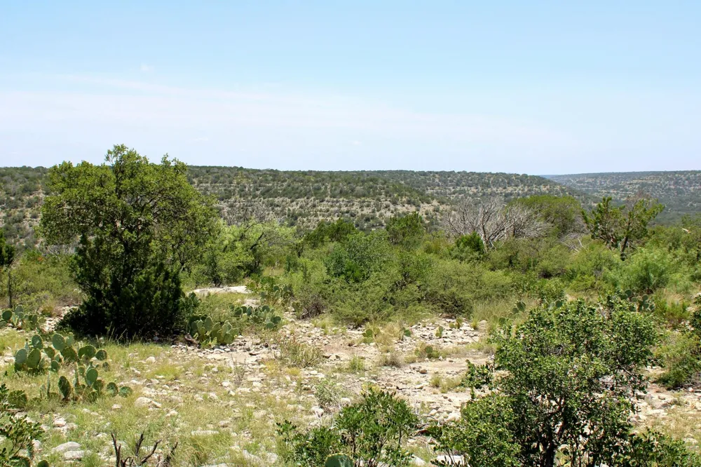 2519 Widmark Road Del Rio, TX 78837