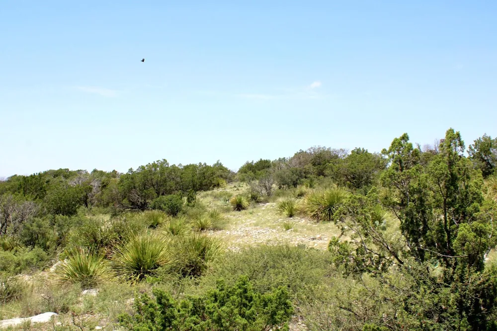 2519 Widmark Road Del Rio, TX 78837