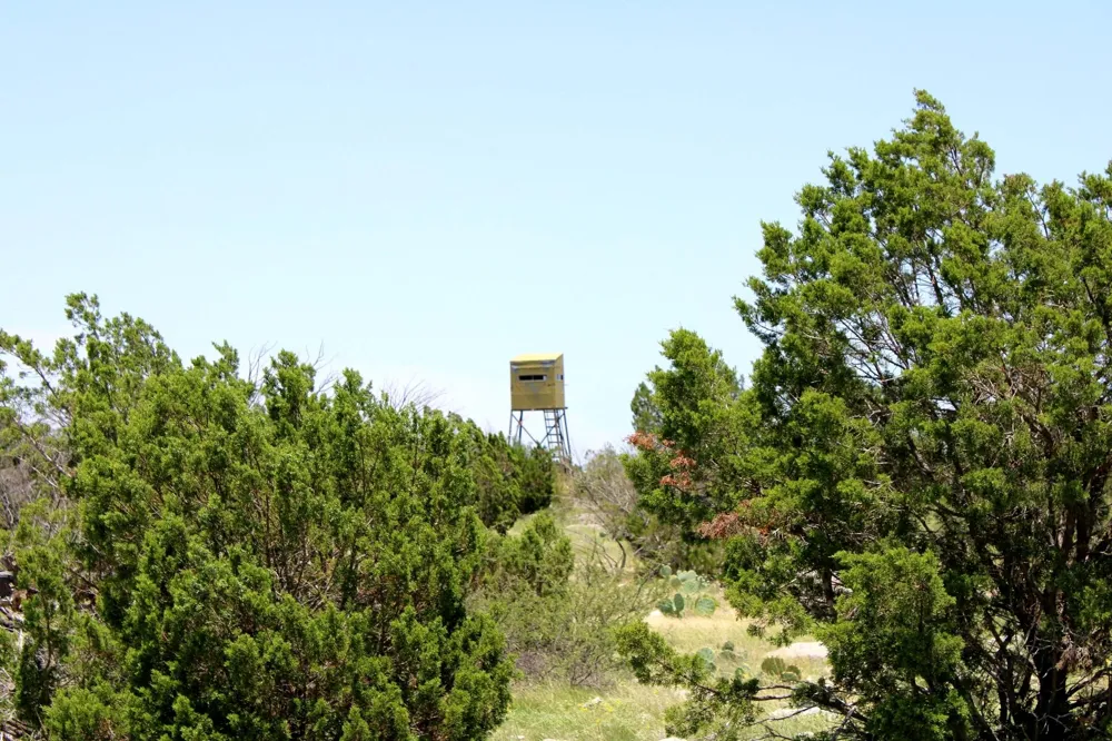 2519 Widmark Road Del Rio, TX 78837