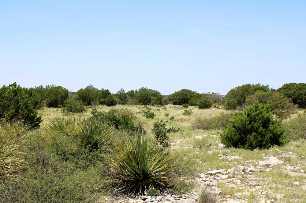 2519 Widmark Road Del Rio, TX 78837