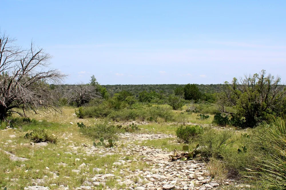 2519 Widmark Road Del Rio, TX 78837