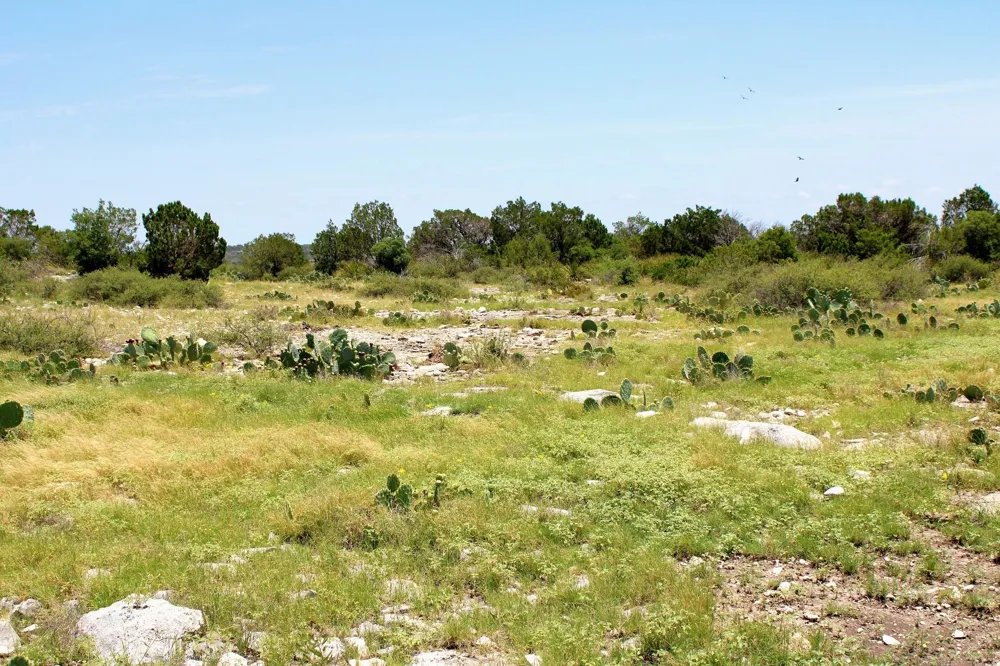 2519 Widmark Road Del Rio, TX 78837