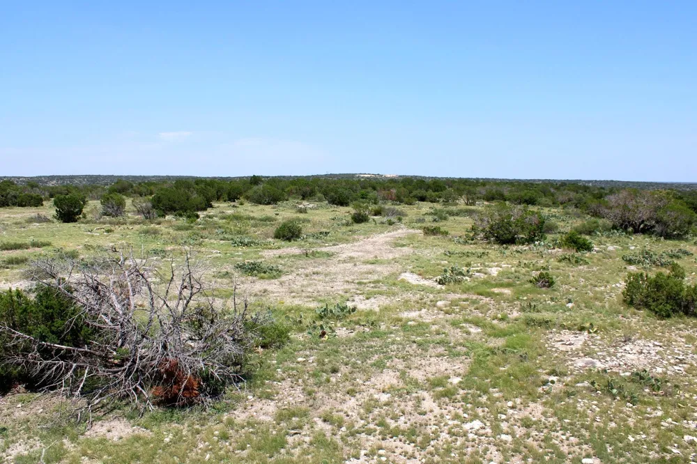 2519 Widmark Road Del Rio, TX 78837