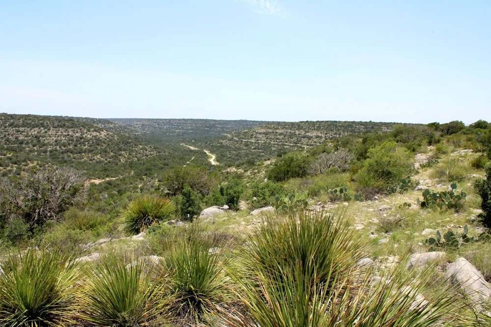2519 Widmark Road Del Rio, TX 78837