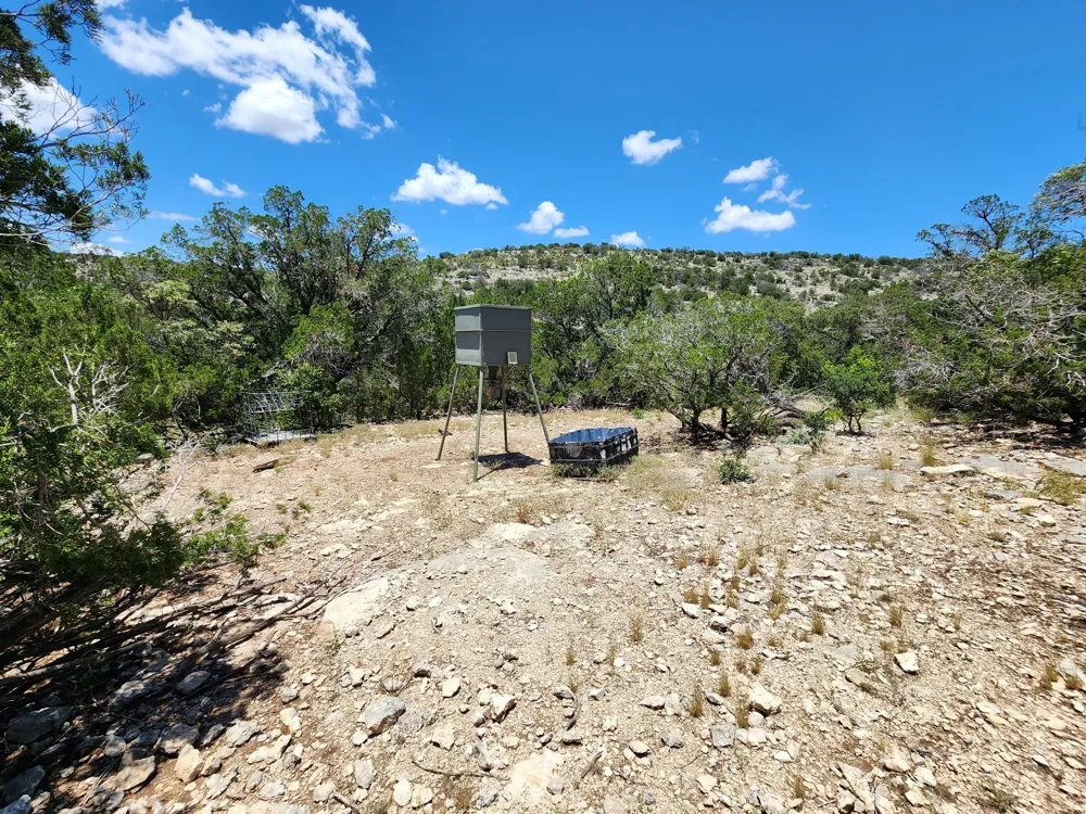 2519 Widmark Road Del Rio, TX 78837