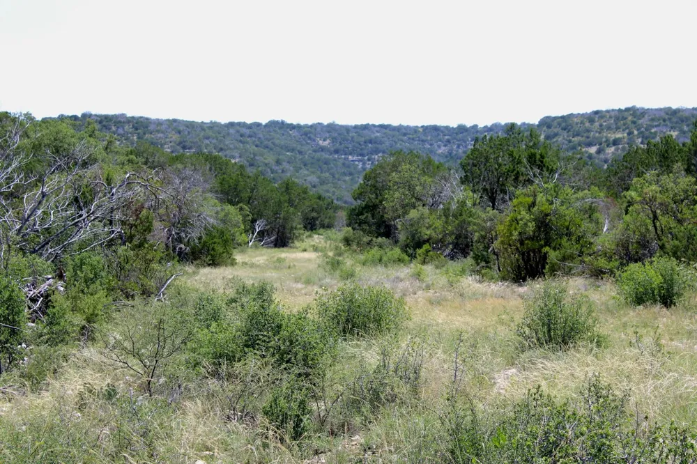 2519 Widmark Road Del Rio, TX 78837