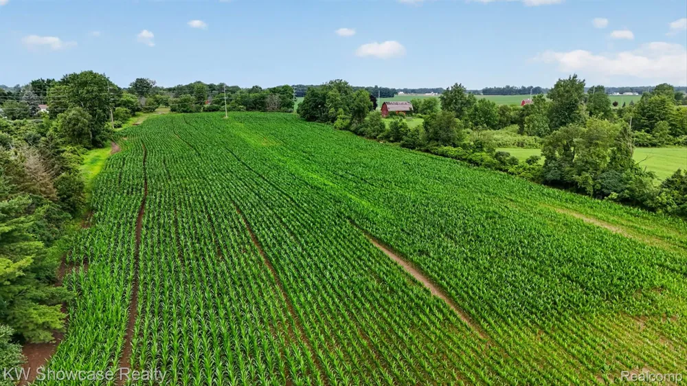 1120 Gregory Road E Handy Township, MI 48836