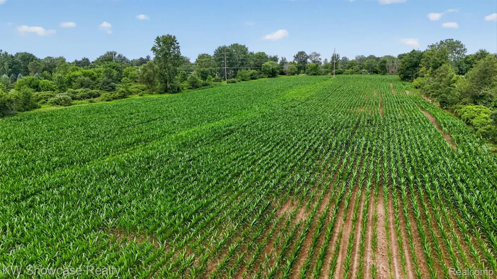 1120 Gregory Road E Handy Township, MI 48836