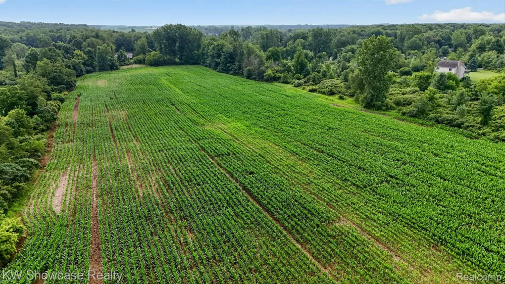 1120 Gregory Road E Handy Township, MI 48836