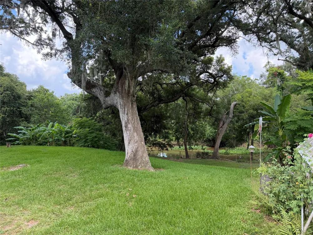 231 Huckleberry Drive Lake Jackson, TX 77566