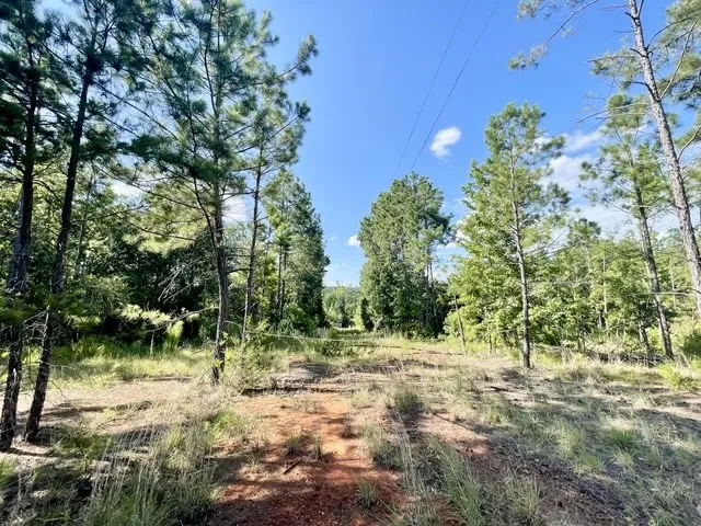 8262 US Highway 84 W Mount Enterprise, TX 75681