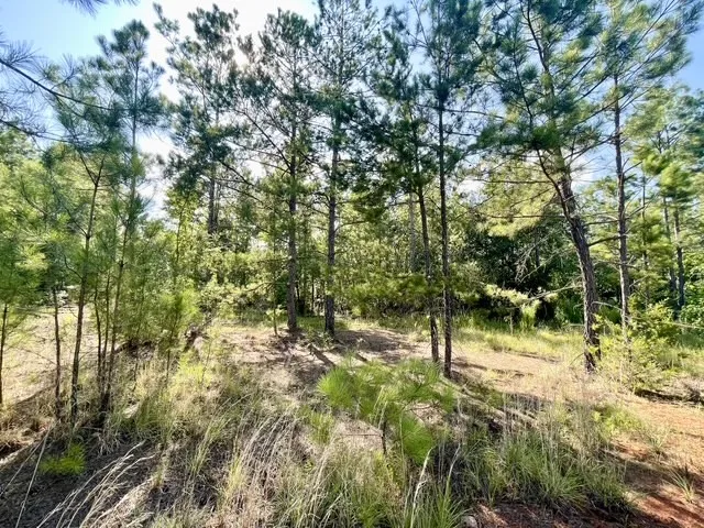8262 US Highway 84 W Mount Enterprise, TX 75681