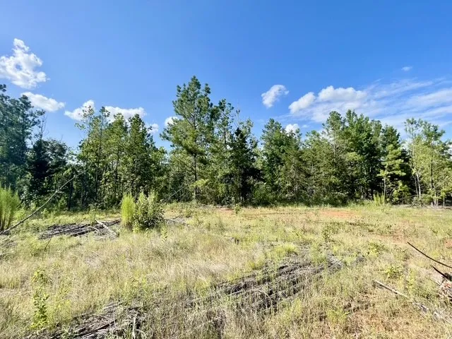 8262 US Highway 84 W Mount Enterprise, TX 75681