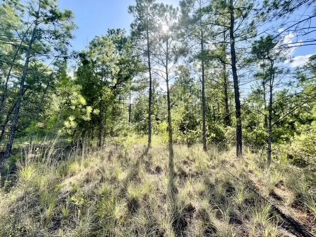 8262 US Highway 84 W Mount Enterprise, TX 75681