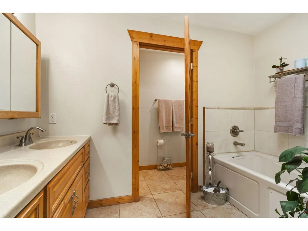569 Gordon Court Livermore, CO 80536