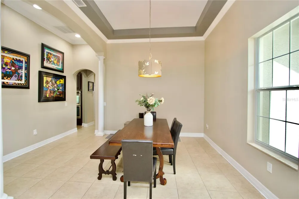 15321 AZRA DRIVE Odessa, FL 33556