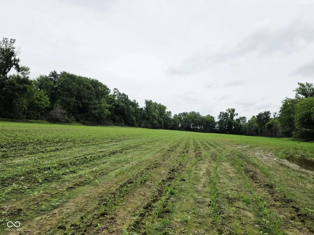 4607 & 4609 W County Road 300 S Cory, IN 47846