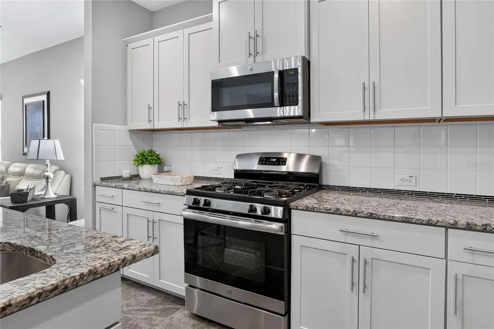 13529 CIRCA CROSSING DRIVE Lithia, FL 33547