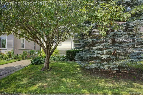 15979 Norborne