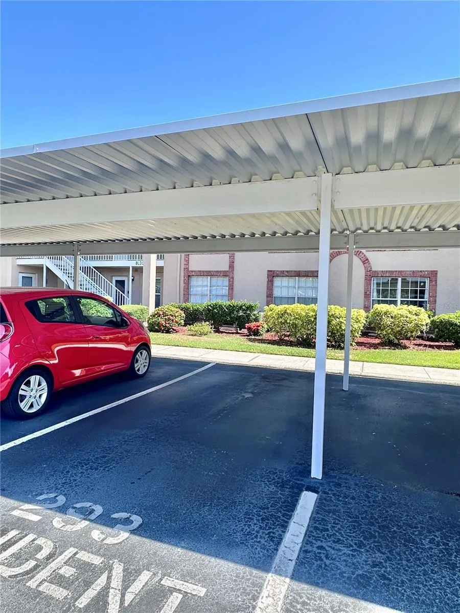 6440 SPRING FLOWER DRIVE #12 New Port Richey, FL 34653