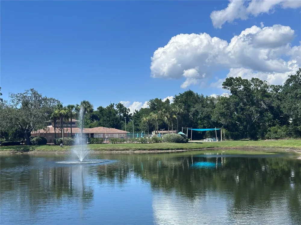 6440 SPRING FLOWER DRIVE #12 New Port Richey, FL 34653