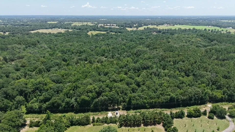 1595 County Road 4112 Canton, TX 75103