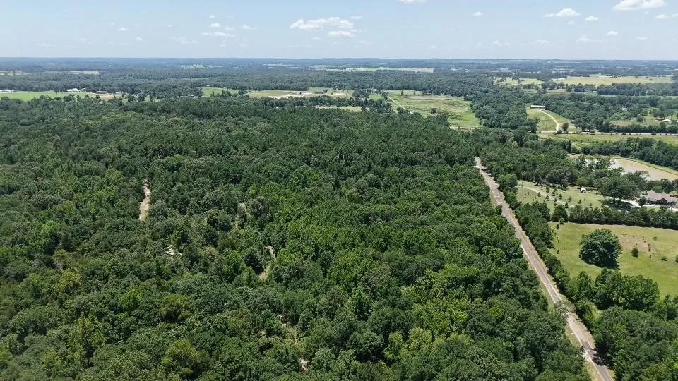 1595 County Road 4112 Canton, TX 75103