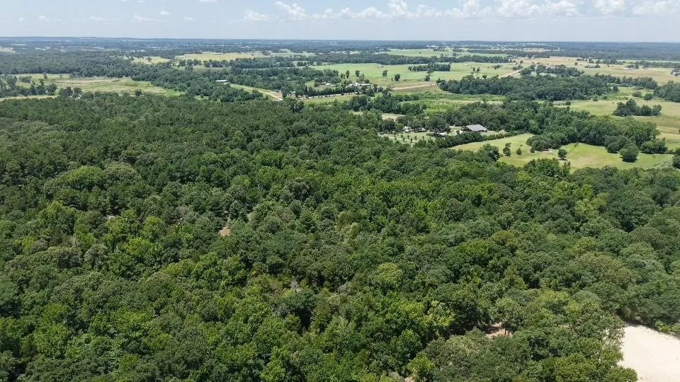1595 County Road 4112 Canton, TX 75103