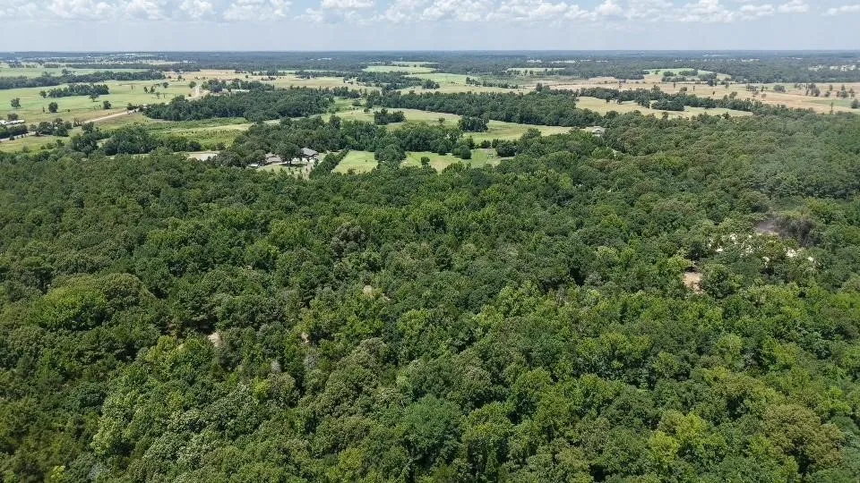 1595 County Road 4112 Canton, TX 75103