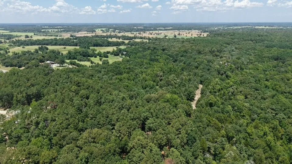 1595 County Road 4112 Canton, TX 75103