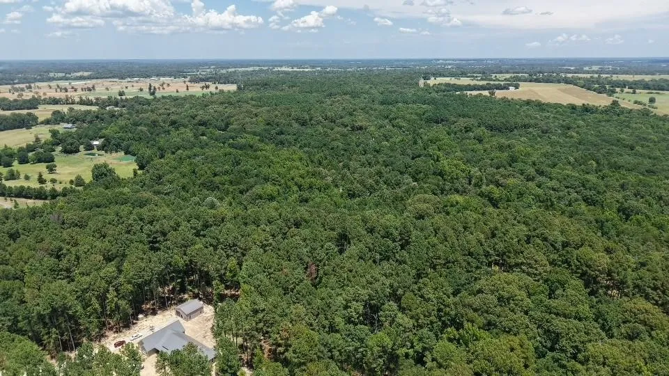 1595 County Road 4112 Canton, TX 75103