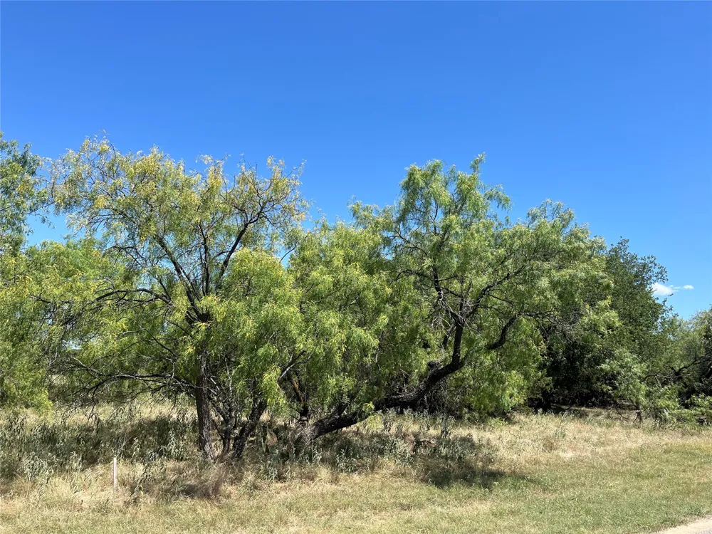 42143 Glen Eagles Drive Whitney, TX 76692