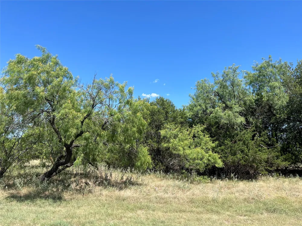 42143 Glen Eagles Drive Whitney, TX 76692