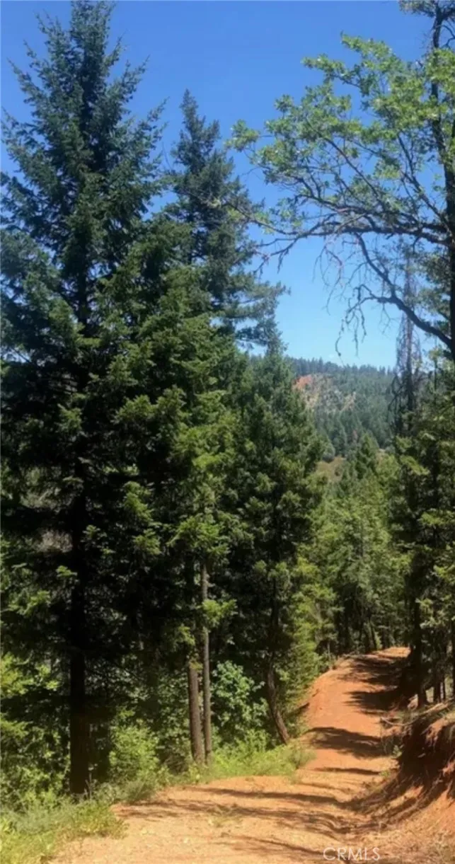 38041 State Highway 3 Weaverville, CA 96052