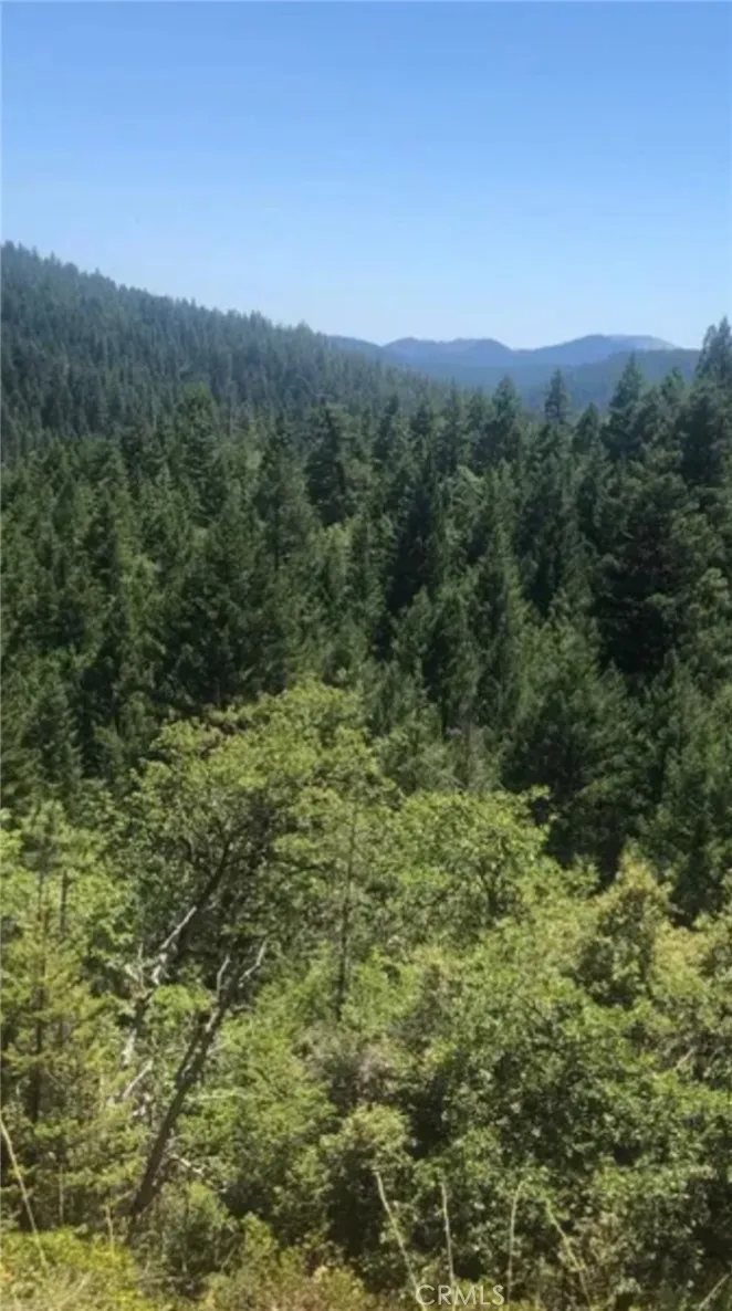 38041 State Highway 3 Weaverville, CA 96052